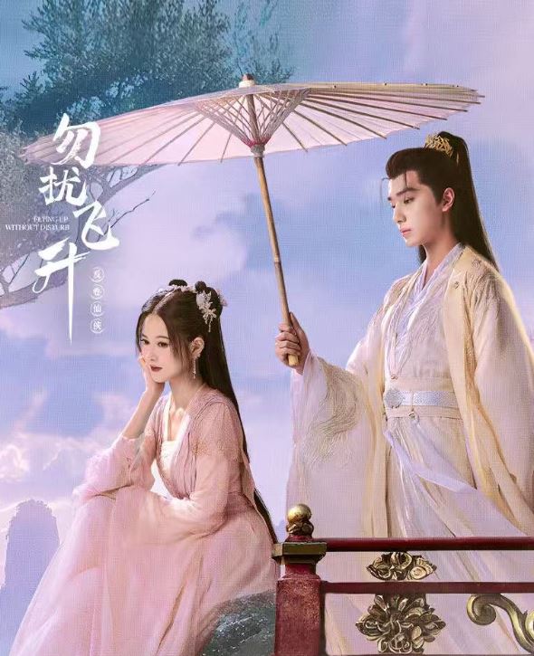 Flying Up Without Disturb (2025)